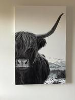 Grote zwart wit canvas met buffel, Ophalen, Zo goed als nieuw
