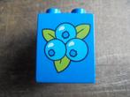 Lego Duplo Brick 2x2x2 (zie foto's) 2, Ophalen of Verzenden, Gebruikt, Losse stenen, Duplo