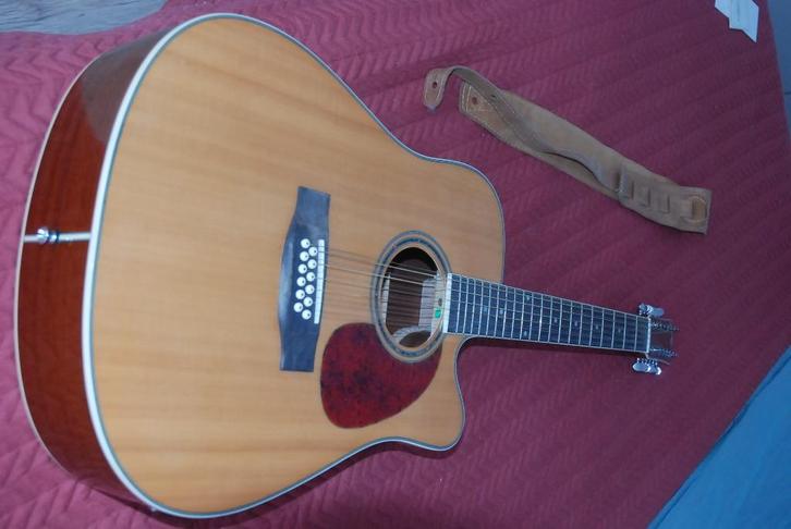 12 snarige akoestische gitaar merk Gear4Music, Muziek en Instrumenten, Snaarinstrumenten | Gitaren | Akoestisch, Zo goed als nieuw