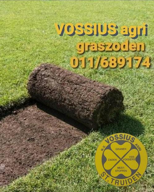 GRASZODEN - GRASMATTEN - GRASROLLEN - GAZON, Tuin en Terras, Gras en Kunstgras, Gras, Ophalen