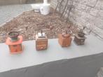 4 mooie, oude, werkende koffiemolens, Antiek en Kunst, Curiosa en Brocante, Ophalen of Verzenden