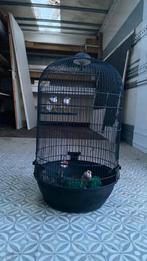 Vogelkotje/decoratie, Dieren en Toebehoren, Ophalen, Zo goed als nieuw, Metaal, Vogelkooi
