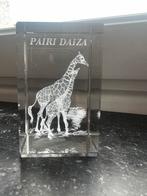 Support en verre de Pairi Daiza, Divers, Comme neuf