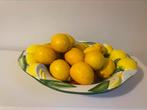 Beau bol avec des citrons d'Italie, Maison & Meubles, Comme neuf, Enlèvement