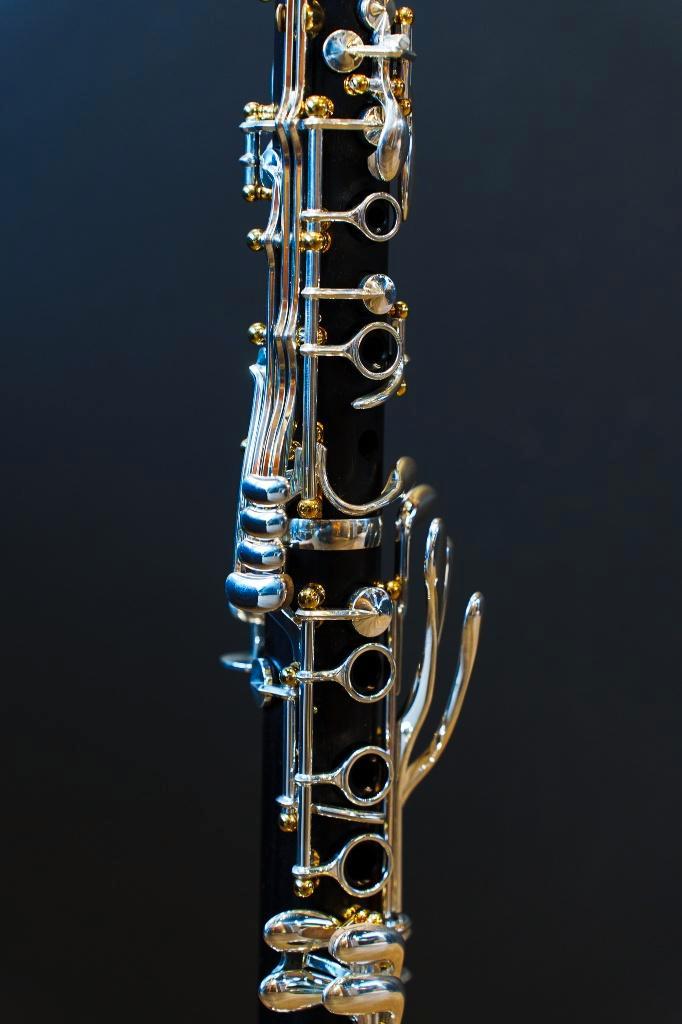 clarinette Sib BACKUN Protégé 18 clés, piliers aurifiés, Musique & Instruments, Instruments à vent | Clarinettes, Neuf, Clarinette en si bémol