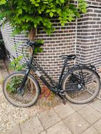 Gazelle Esprit damesfiets zwart, Fietsen en Brommers, Fietsen | Dames | Damesfietsen, Ophalen, Versnellingen, 56 cm of meer, Zo goed als nieuw
