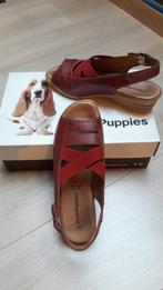 Hush puppies M37, Ophalen of Verzenden, Gedragen