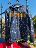 Pull ayacucho maat 16 jaar, Kinderen en Baby's, Kinderkleding | Maat 176, Gebruikt, Meisje, Trui of Vest, Ophalen of Verzenden