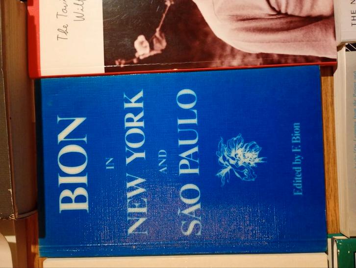 Bion. In New York and Sao Paulo, Boeken, Chicklit, Ophalen of Verzenden