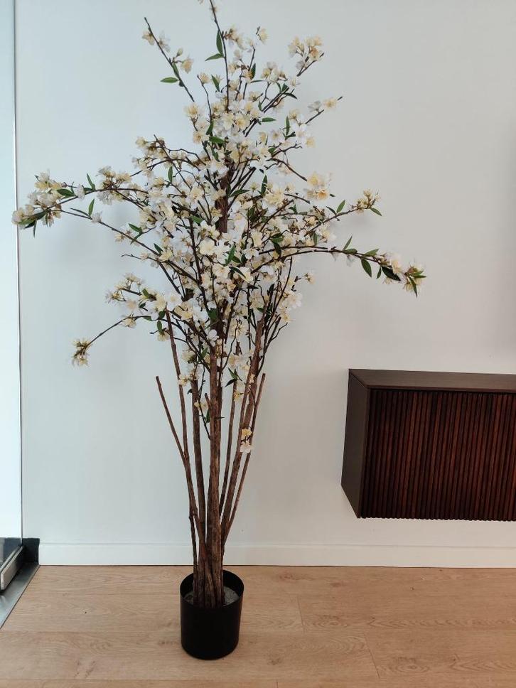 Kunstboom kersenbloesem 150 cm, Huis en Inrichting, Woonaccessoires | Kunstplanten en Kunstbloemen, Ophalen