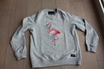 lichtgrijze trui / sweater met flamingo, Bjorn Borg, maat S, Gris, Enlèvement ou Envoi, Taille 36 (S), Bjorn borg