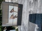 10 tal zebravinken, Dieren en Toebehoren