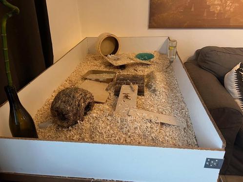 Groot hamster paradijs met heel veel bijhorende elementen, Dieren en Toebehoren, Knaagdieren en Konijnen | Hokken en Kooien, Gebruikt