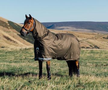 LeMieux Arika Ripstop Regendeken Hals 50g Alpine 185 tm 205 beschikbaar voor biedingen