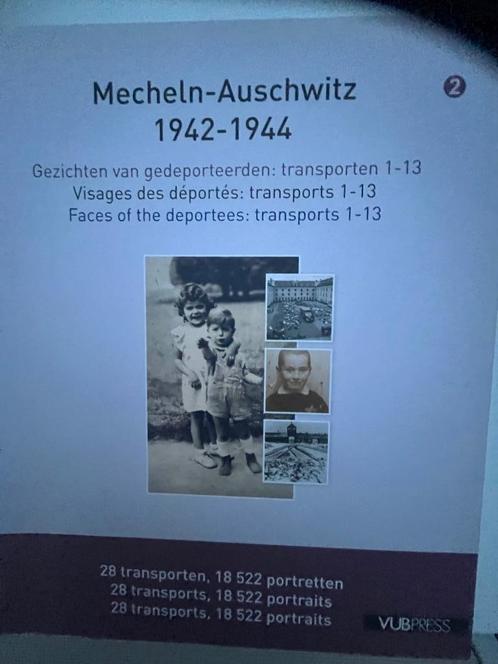 Mecheln - Auschwitz, Boeken, Oorlog en Militair, Nieuw, Algemeen, Tweede Wereldoorlog, Ophalen of Verzenden