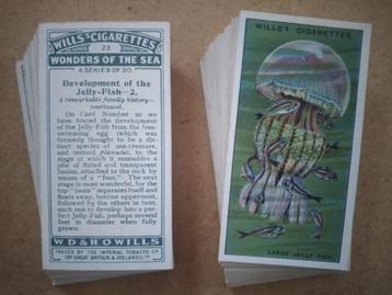 Wonders of the Sea complete set 50 chromos 1928 Wills beschikbaar voor biedingen