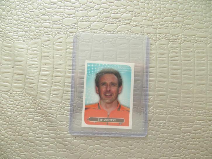 Panini 2013 scheidsrechter Luc Wouters zeldzaam, Verzamelen, Sportartikelen en Voetbal, Nieuw, Ophalen of Verzenden