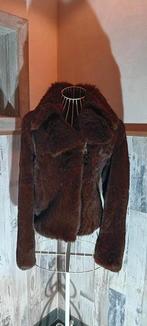 Korte Bontjas dames, Ophalen