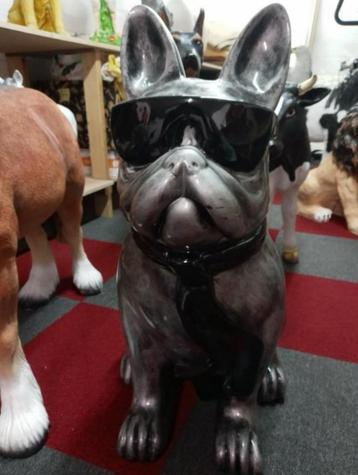 Honden beelden beschikbaar voor biedingen