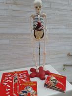 Très belle collection A la découverte du corps humain, Enlèvement, Comme neuf