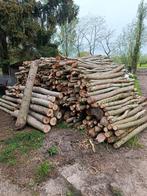 Brandhout wilg, Tuin en Terras, Brandhout, 3 tot 6 m³, Ophalen, Overige houtsoorten, Takken