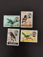 Ethiopie 1962 - oiseaux, Timbres & Monnaies, Timbres | Timbres thématiques, Animal et Nature, Affranchi, Enlèvement ou Envoi