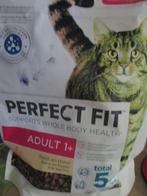 kattenbrokjes, Ophalen of Verzenden, Kat