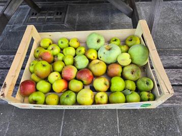 APPELEN EIGEN KWEEK - IDEAAL VOOR APPELMOES - SAP- GEBAK -  beschikbaar voor biedingen