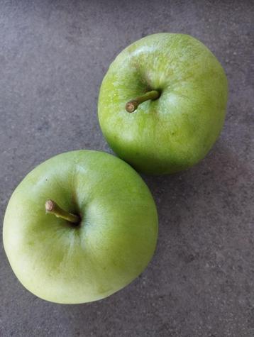 Zeer lekkere vroege bio appelen cfr Granny Smith  beschikbaar voor biedingen