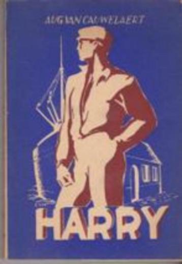 Harry. beschikbaar voor biedingen