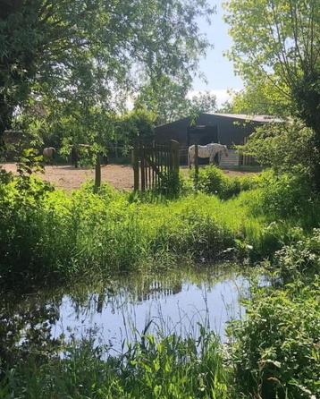 Plaats vrij voor 1 paard in kleinschalige stal. beschikbaar voor biedingen