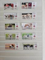 Postzegels Belgie speciale uitgifte, Ophalen of Verzenden, Gestempeld, Met stempel