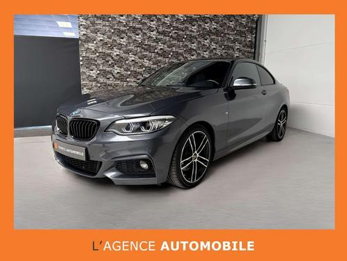 BMW 2 Serie 220 220iAS - Garantie, Autos, BMW, Entreprise, Achat, Série 2, ABS, Air conditionné, Alarme, Bluetooth, Air conditionné automatique