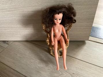 Oude Sindy pop beschikbaar voor biedingen