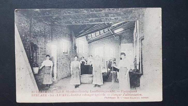 Postkaart Berlaar Berlaer bij Lier Landbouwgesticht, Verzamelen, Postkaarten | België, Ongelopen, Antwerpen, Voor 1920, Ophalen of Verzenden