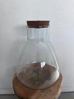 Lege terrarium x2, Ophalen