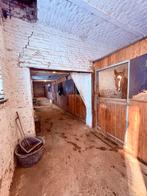 Stal + weide te huur, Dieren en Toebehoren, Weidegang, 1 paard of pony