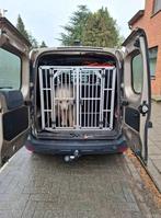Banc de voiture pour chien, Enlèvement