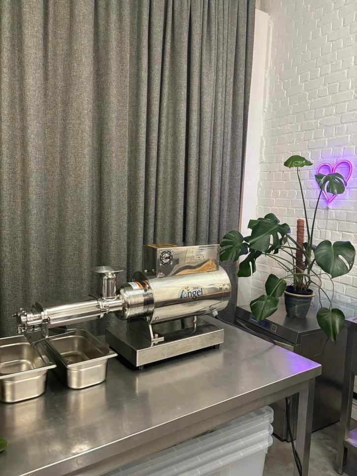 Angel Juicer 20K, Elektronische apparatuur, Juicers, Gebruikt, Slowjuicer, Elektrisch, Ophalen