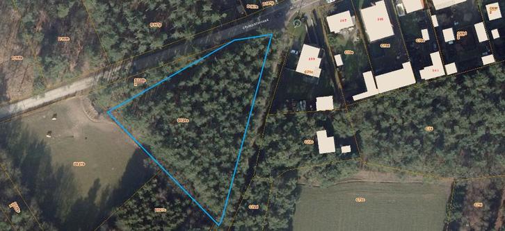 Bos te koop, Immo, Gronden en Bouwgronden, 1500 m² of meer, Verkoop zonder makelaar