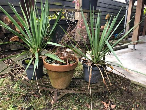 Lot gietijzeren plantenrek en verhoogde plantenhouders, Tuin en Terras, Tuinwanddecoratie, Gebruikt, Ophalen