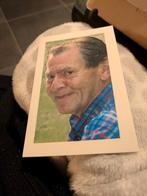 Dp Tony van den Bosch, Verzamelen, Bidprentjes en Rouwkaarten, Ophalen of Verzenden, Bidprentje