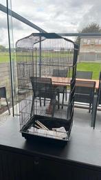 vogelkooi met assecoires, Dieren en Toebehoren, Ophalen, Zo goed als nieuw, Vogelkooi