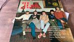 lp The Beach Boys - The Beach Boys, CD & DVD, Vinyles | Rock, 12 pouces, Pop rock, Utilisé, Enlèvement ou Envoi