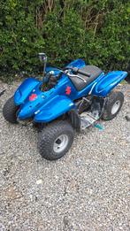 Dinly dynomotor 50cc 2 t motor ovetto, Ophalen, Zo goed als nieuw