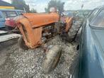 Tracteur, Zakelijke goederen, Landbouw | Tractoren, Ophalen, Fiat