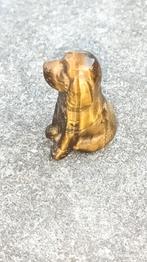 Minihond in tijgeroog, Ophalen of Verzenden, Nieuw