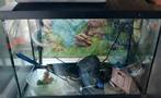 Aquarium 70 litres, Ophalen, Gebruikt, Leeg aquarium