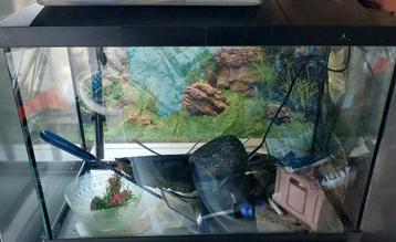 Aquarium 70 litres beschikbaar voor biedingen