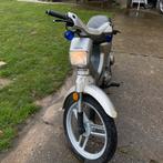 Honda wallaroo a klasse met alle papieren, Fietsen en Brommers, Brommers | Honda, Ophalen